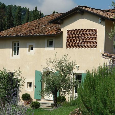 Agriturismo Mareli Villa Camaiore Eksteriør billede