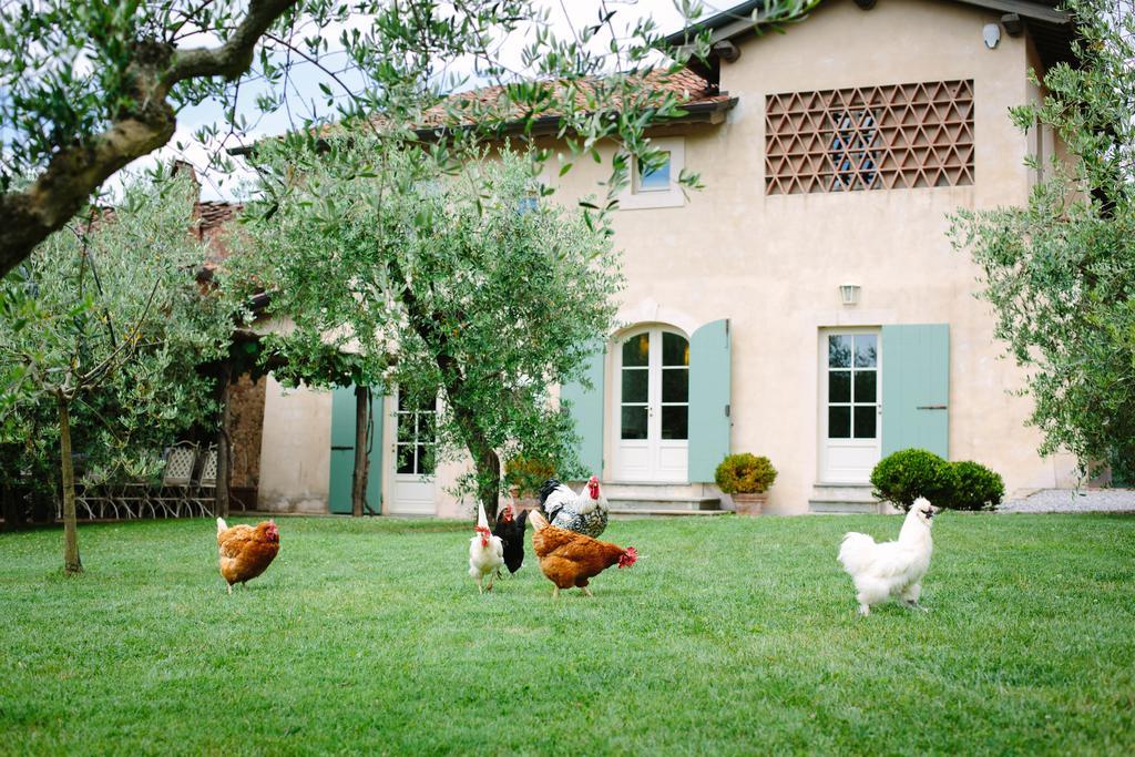 Agriturismo Mareli Villa Camaiore Eksteriør billede